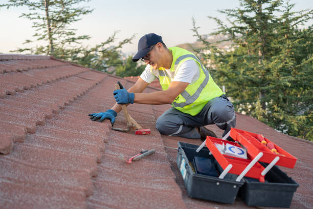 Best Storm Damage Roof Repair  in Stapleton, AL