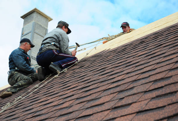 Residential Roof Replacement in Stapleton, AL